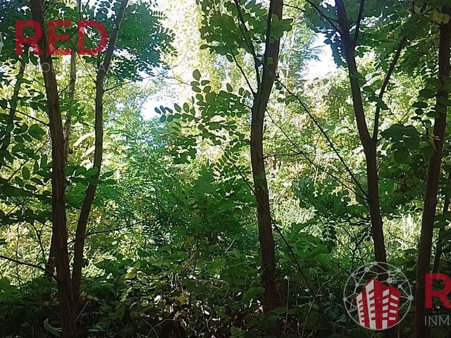 place photo 42