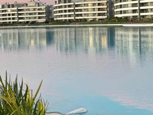 place photo 24