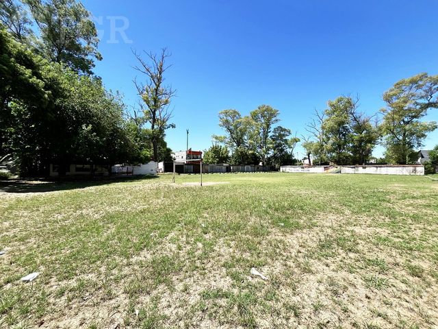 place photo 27