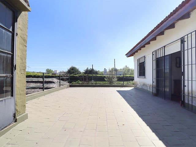 place photo 26