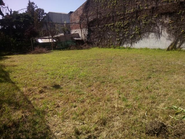 place photo 28