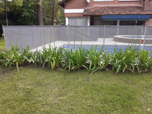 place photo 32