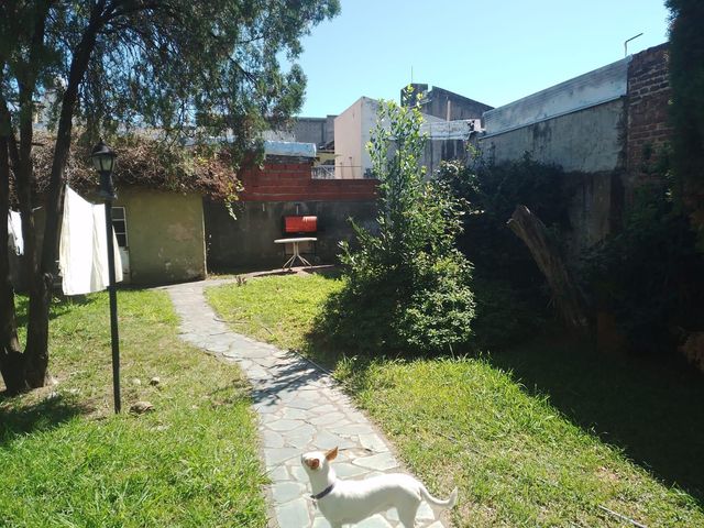place photo 34