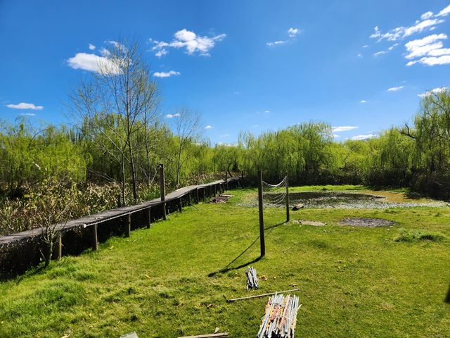 place photo 26