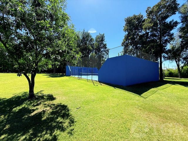 place photo 46