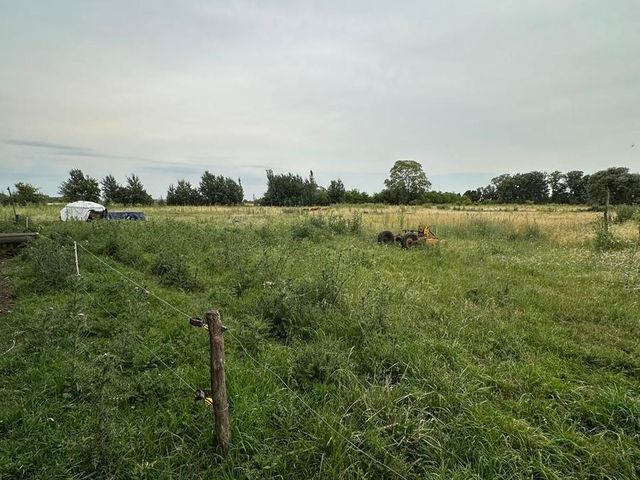 place photo 24