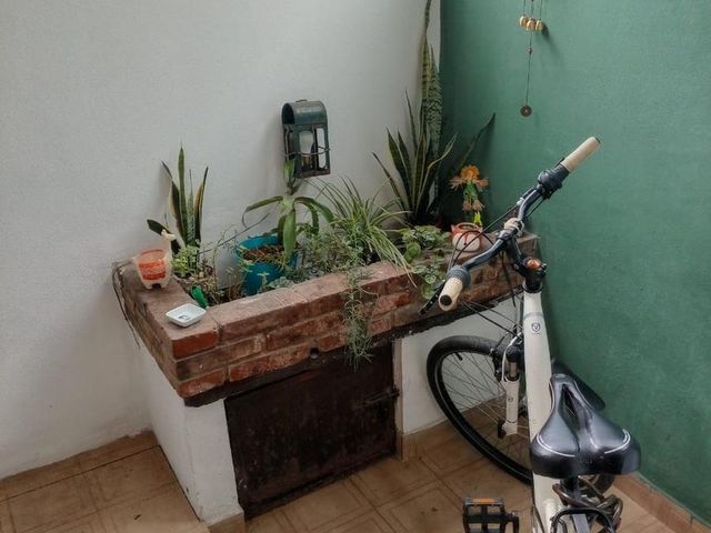 place photo 29