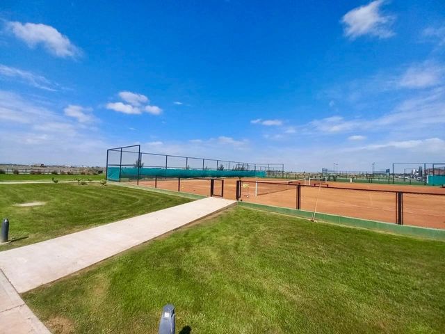 place photo 34