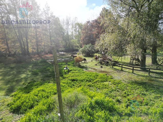 place photo 38