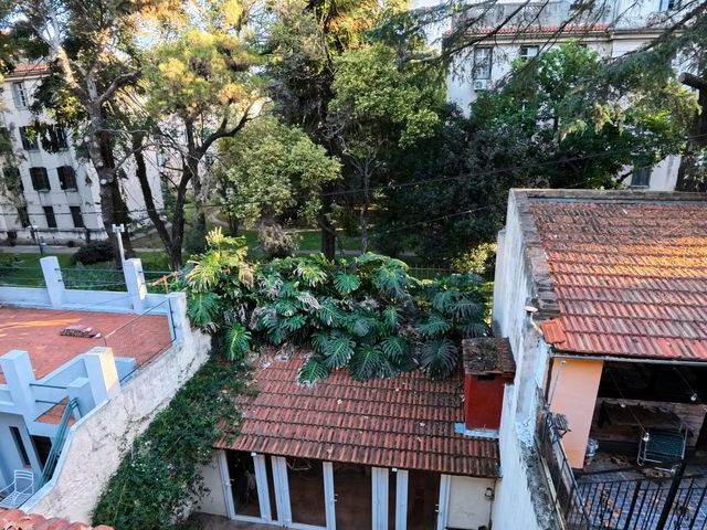 place photo 49