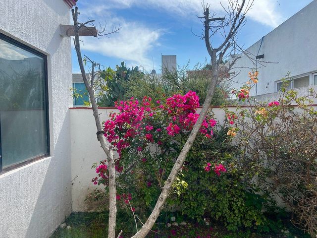 place photo 42