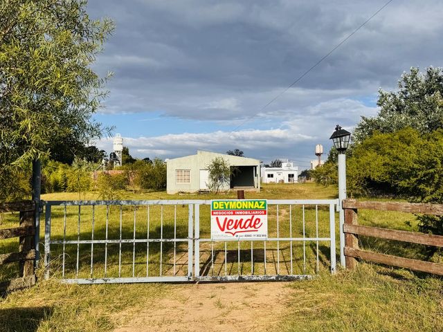place photo 1