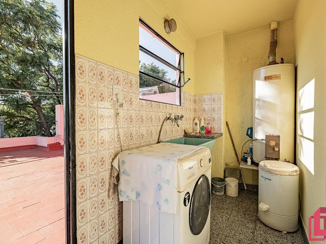 place photo 38