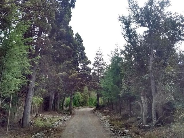 place photo 14