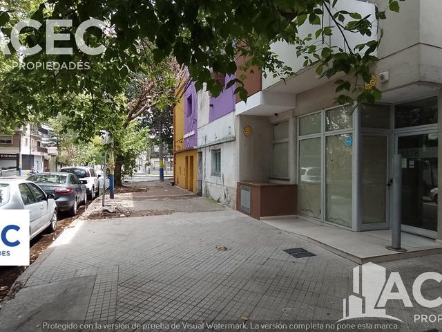 place photo 26