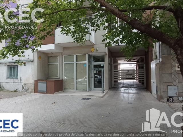 place photo 24