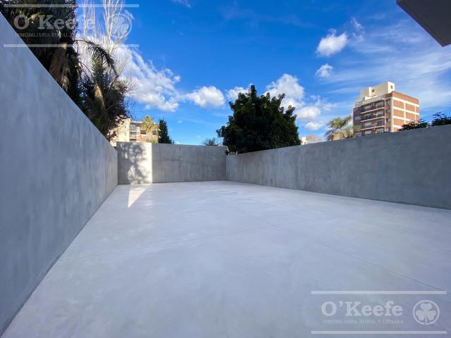 place photo 54