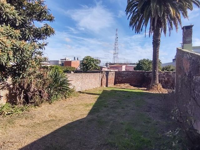 place photo 23