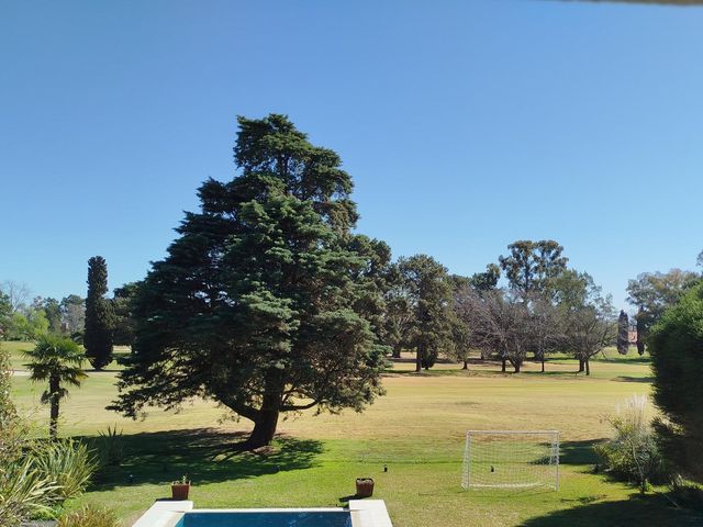 place photo 38