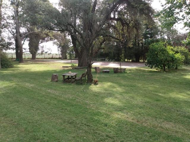 place photo 23