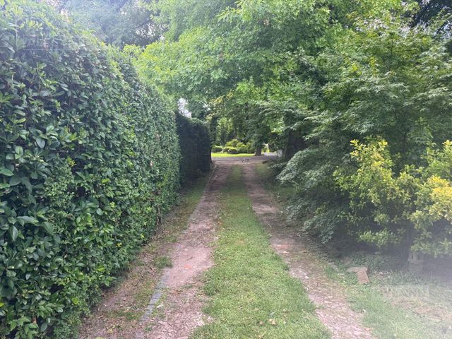 place photo 33