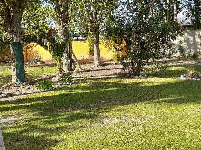 place photo 52