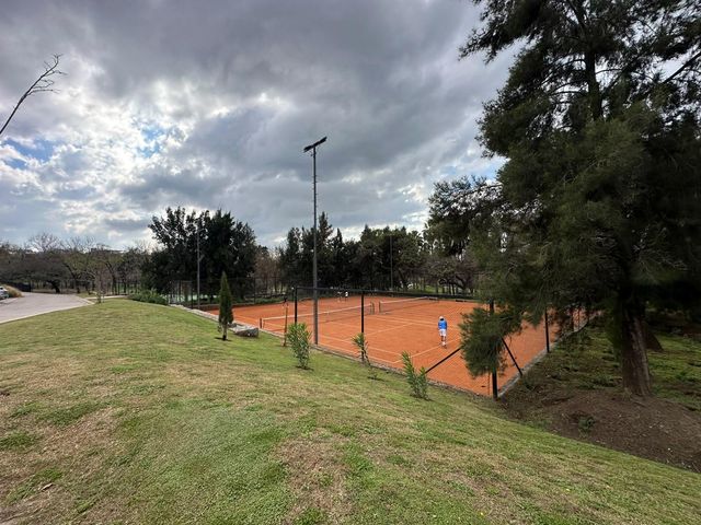place photo 31