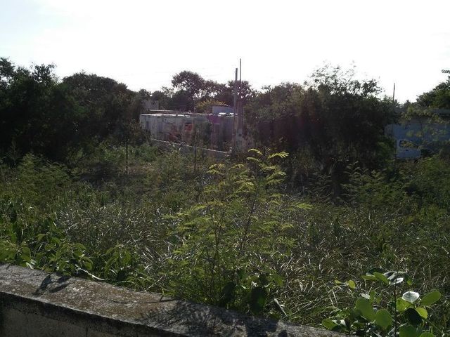 place photo 10