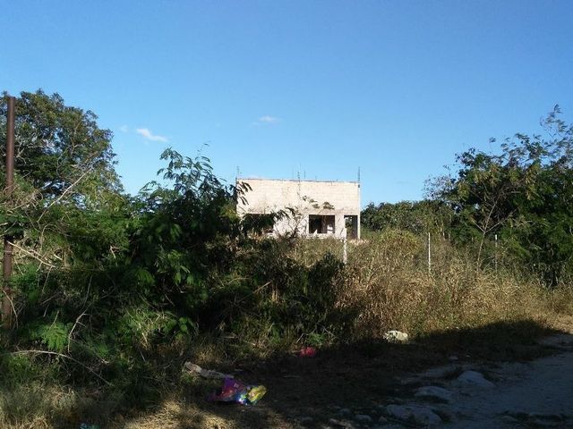 place photo 11