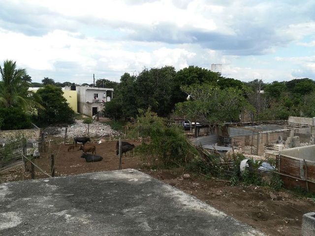 place photo 16