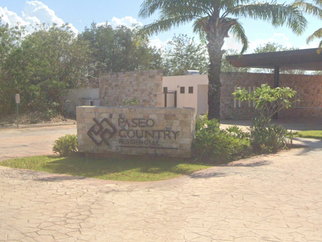 place photo 29