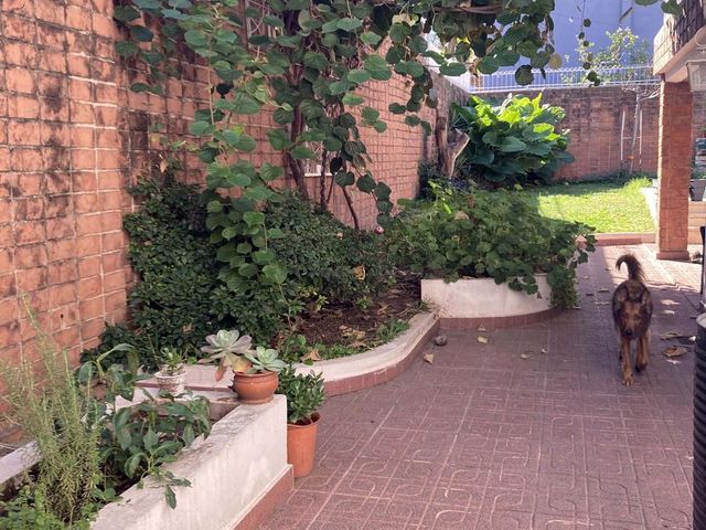 place photo 74