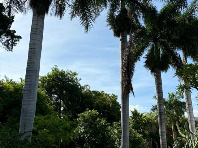 place photo 34