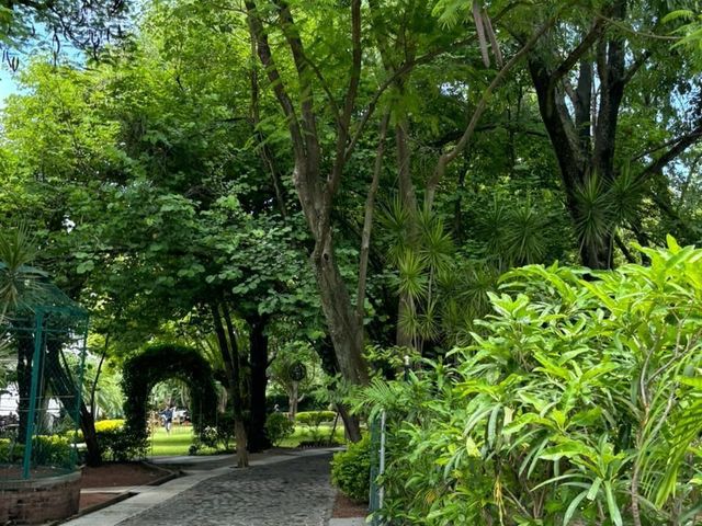 place photo 22