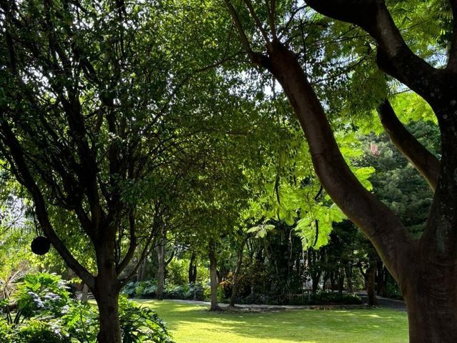 place photo 26