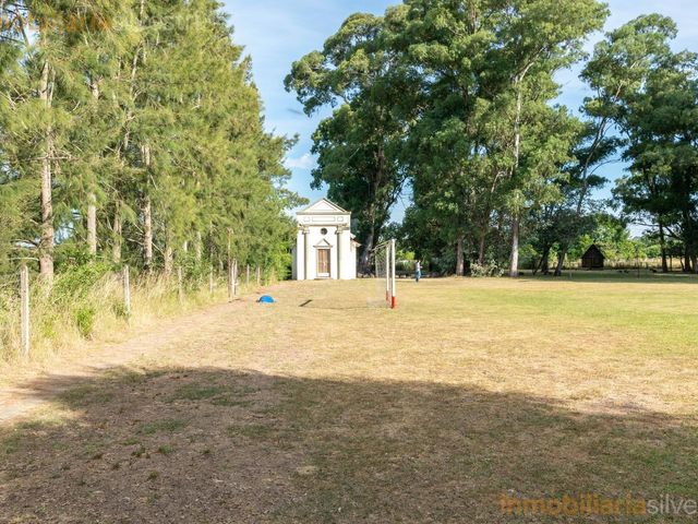 place photo 49