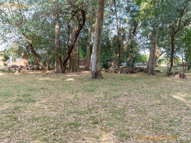 place photo 63