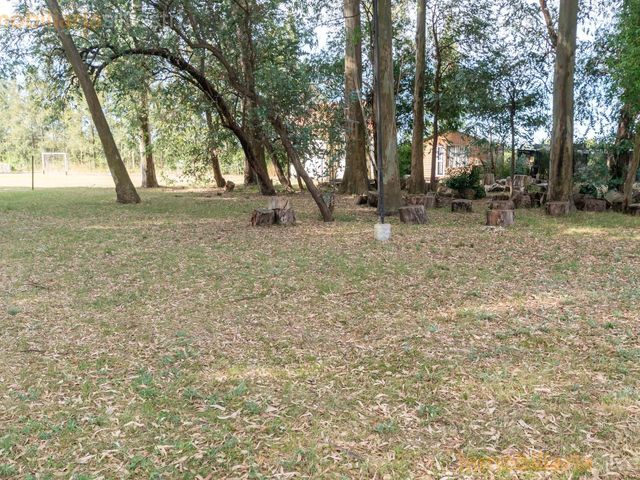 place photo 58