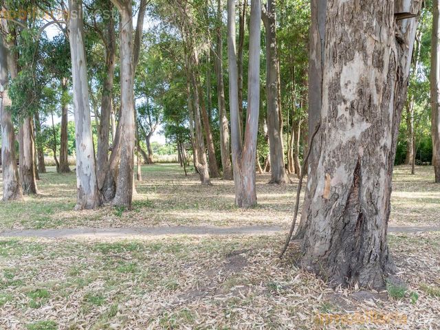 place photo 61