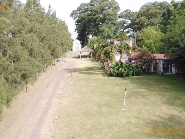 place photo 15