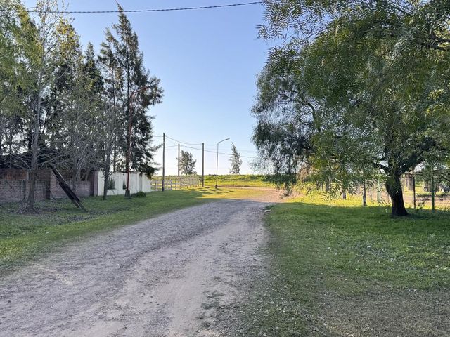 place photo 48