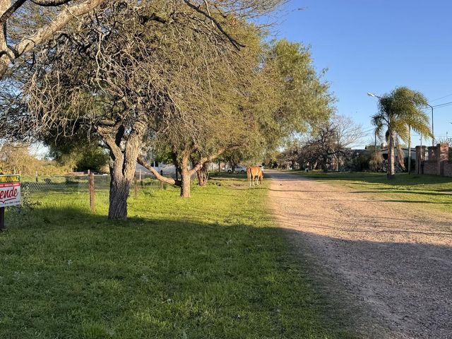 place photo 50