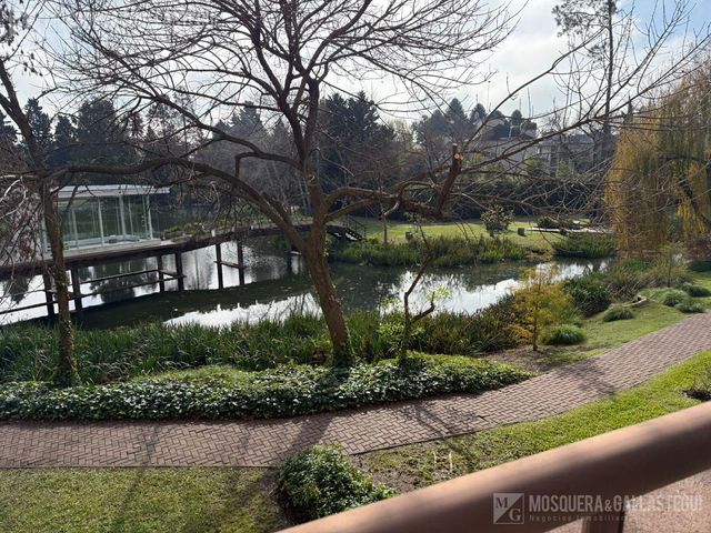 place photo 49