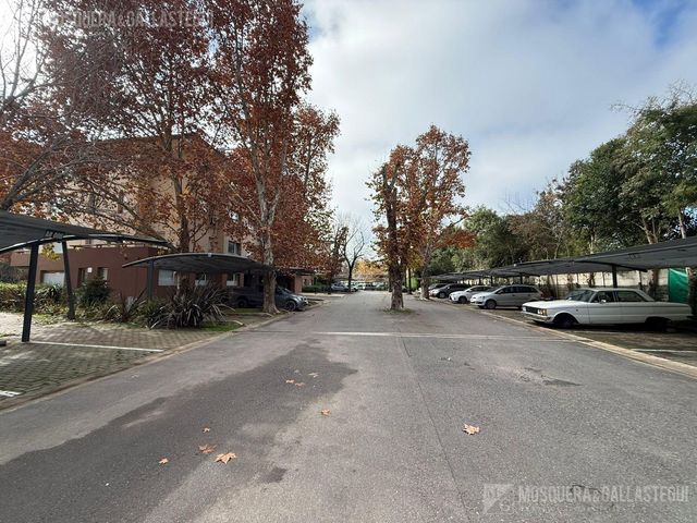 place photo 50
