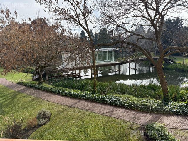 place photo 47