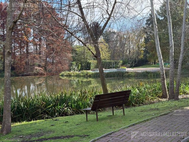 place photo 37