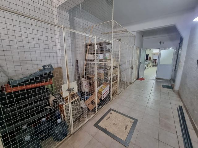 place photo 37