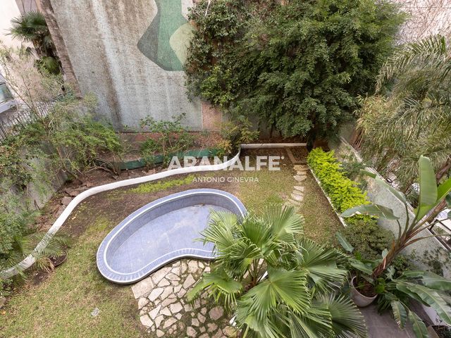 place photo 51