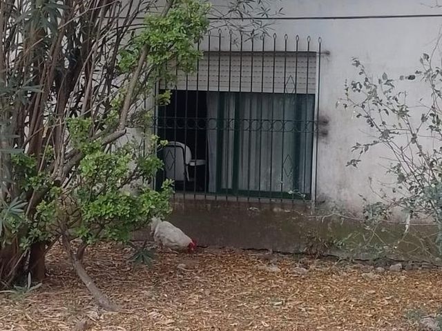 place photo 28