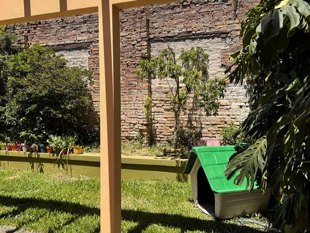 place photo 66